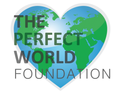 The Perfect World Foundation